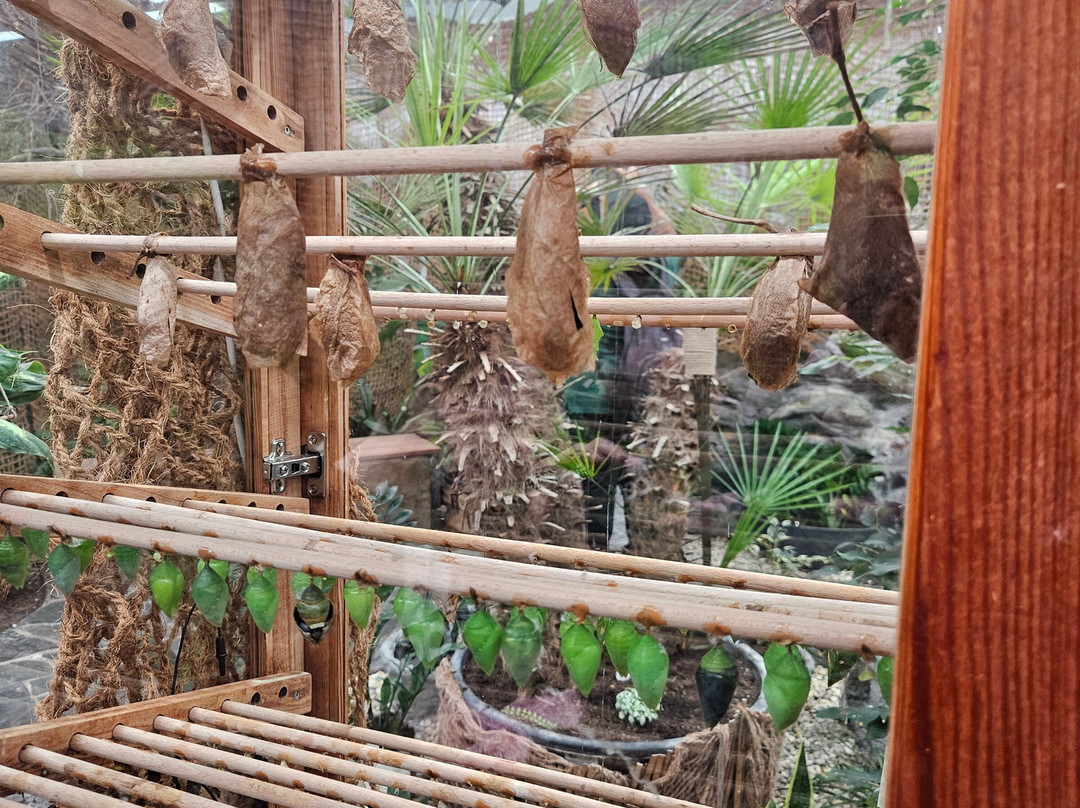 汉姆利玩具店-布拉格必去景点