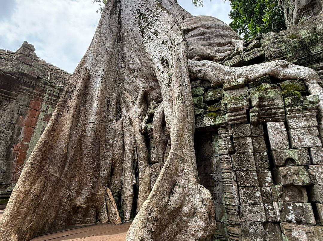 Siem Reap Taxi Service-暹粒必去景点