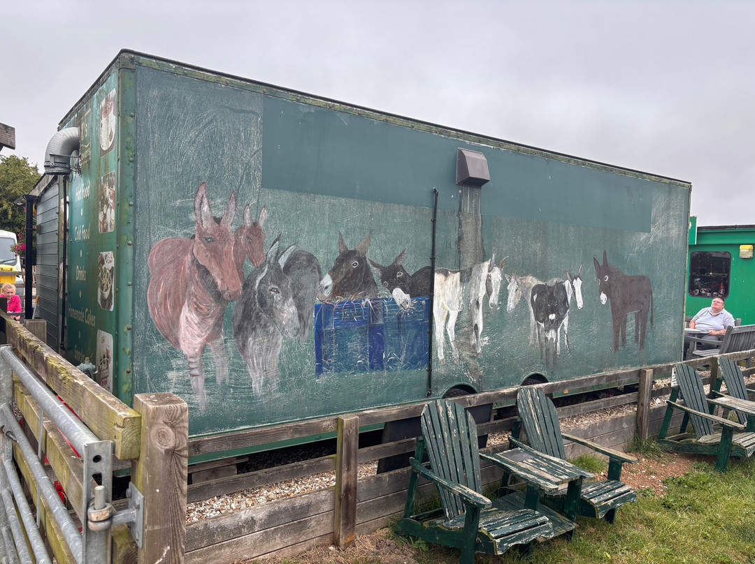 Radcliffe Donkey Sanctuary-Huttoft必去景点