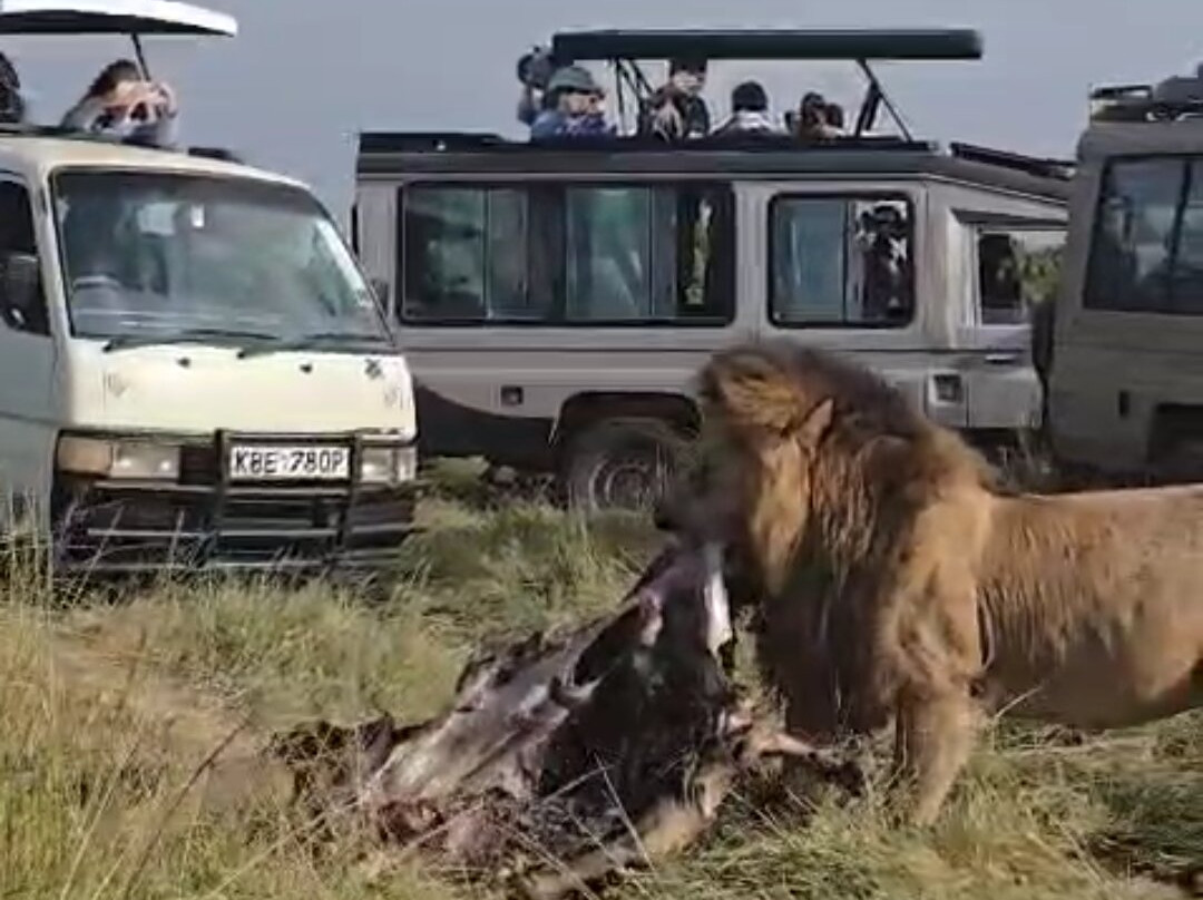 VALLEY ROCKS TOURS-内罗毕必去景点