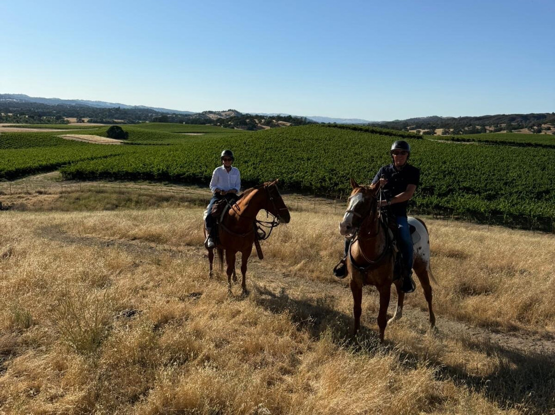 Central Coast Trailrides-帕索罗布尔斯必去景点