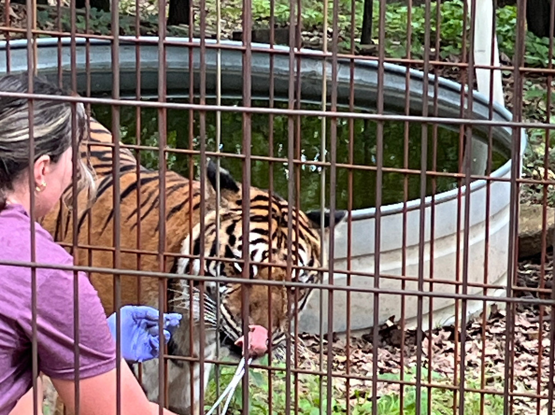 Crown Ridge Tiger Sanctuary Lodging主图