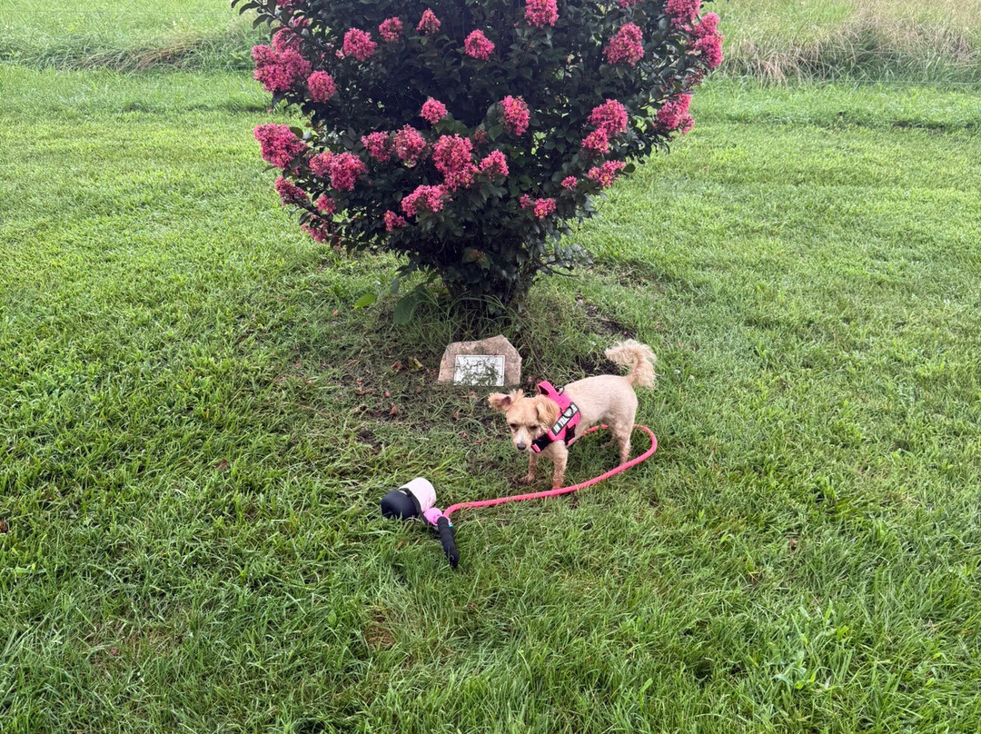 Hawksbill Greenway-卢雷必去景点