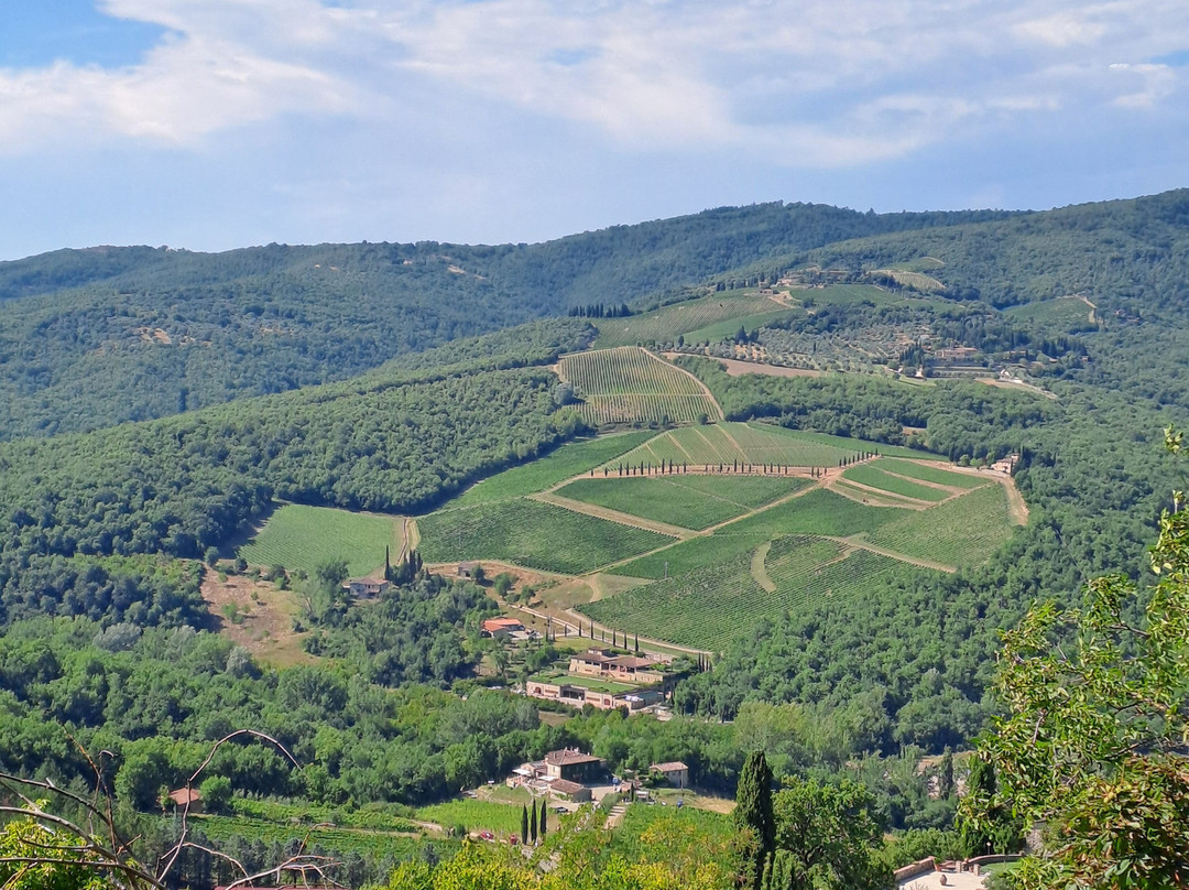 Norcenni Girasole Tours & Experiences-佛罗伦萨必去景点