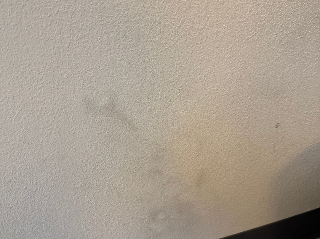 MainStay Suites Joliet I-55主图