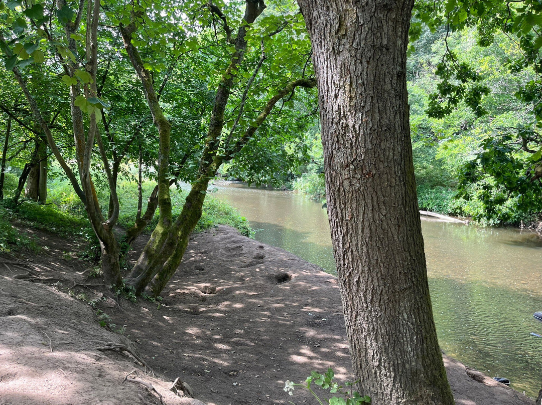 Derwenthaugh Country Park-盖茨黑德必去景点