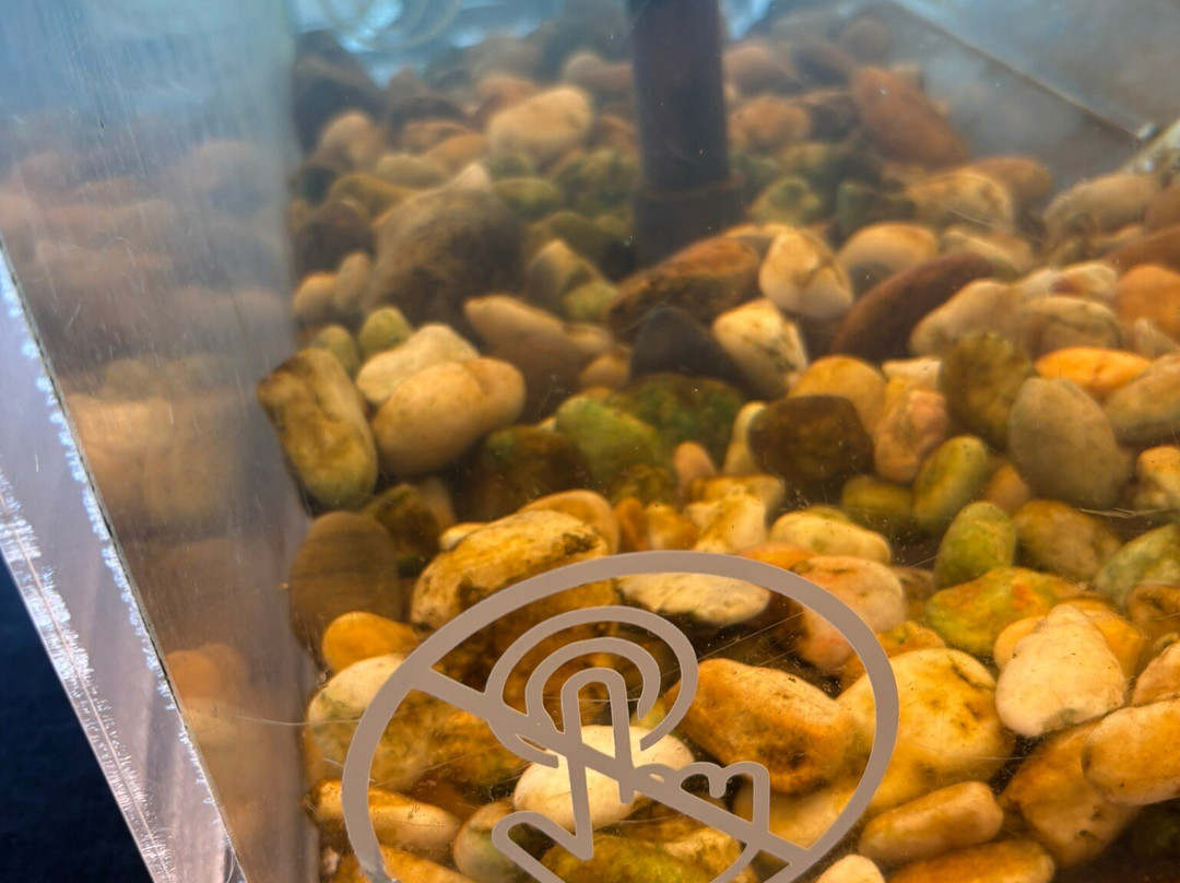 Tybee Island Marine Science Center-泰碧岛必去景点