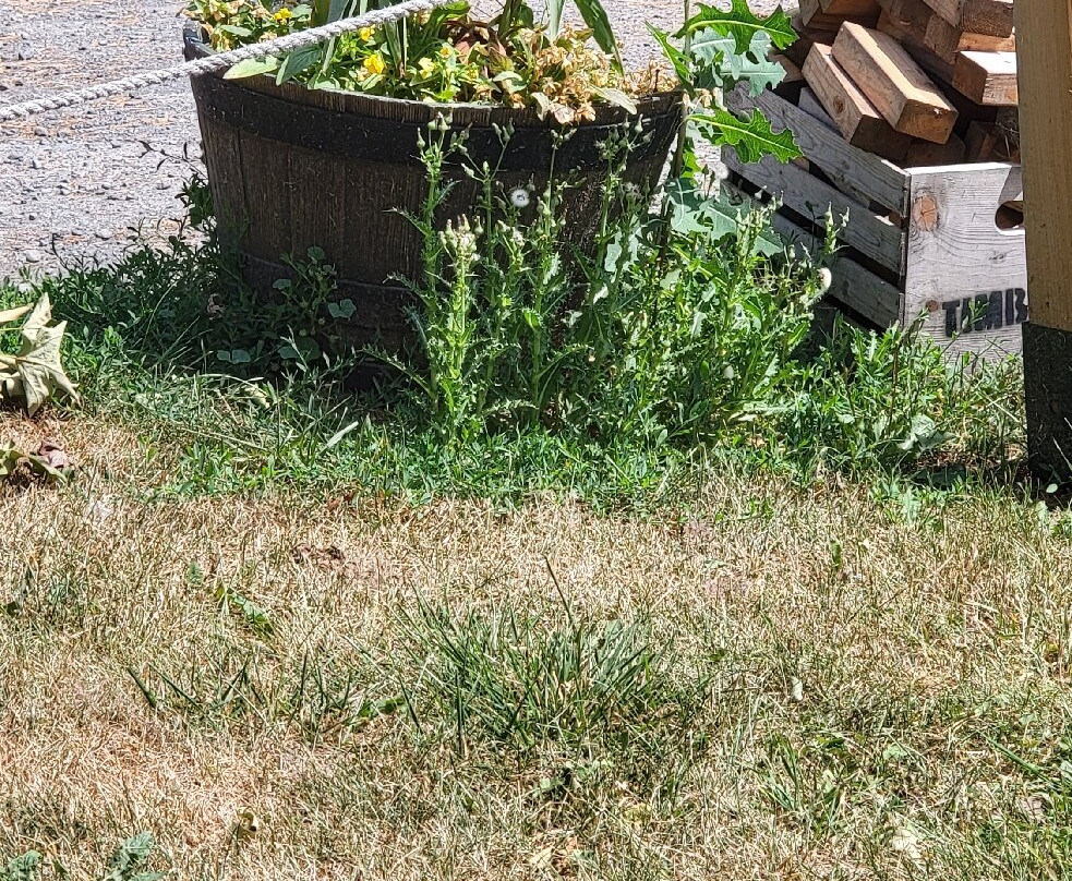 Kinsip House of Fine Spirits-Bloomfield必去景点