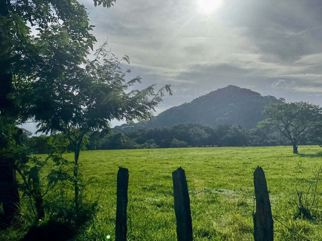 Costa Rica Monkey Tours -  Day Tours-萨玛拉滩必去景点