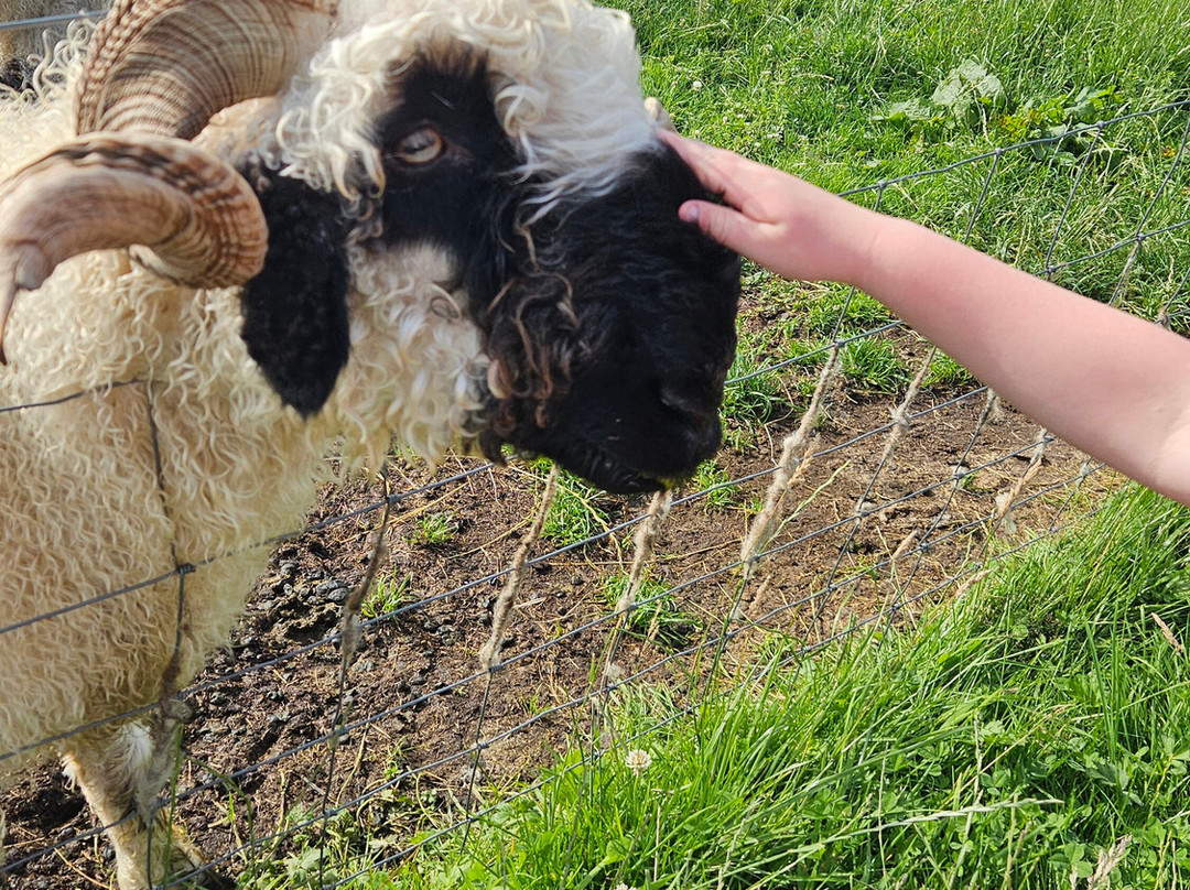 Meikle Westland Farm主图