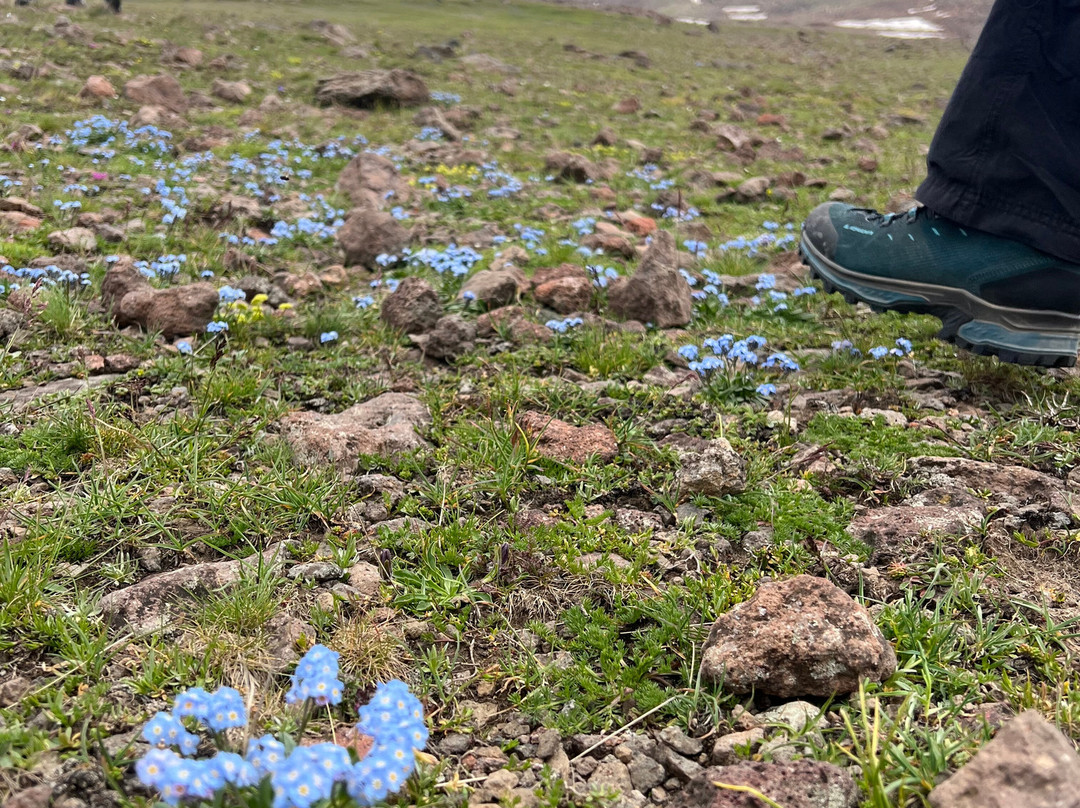 Mount Aragats-Aragatsotn必去景点
