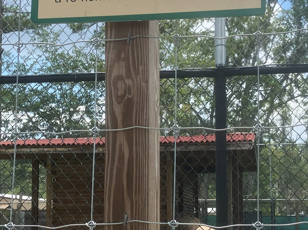 Catty Shack Ranch Wildlife Sanctuary-杰克逊维尔必去景点