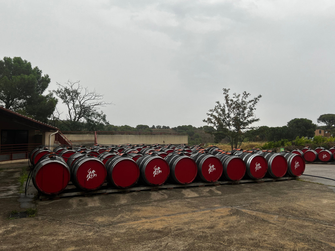 Terres des Templiers-Banyuls-sur-mer必去景点