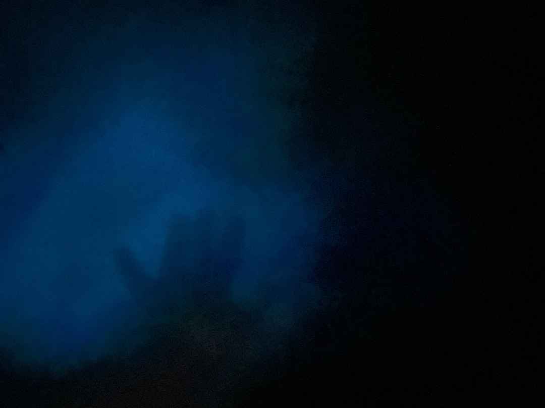 Black Beard Sports-维切克岛必去景点