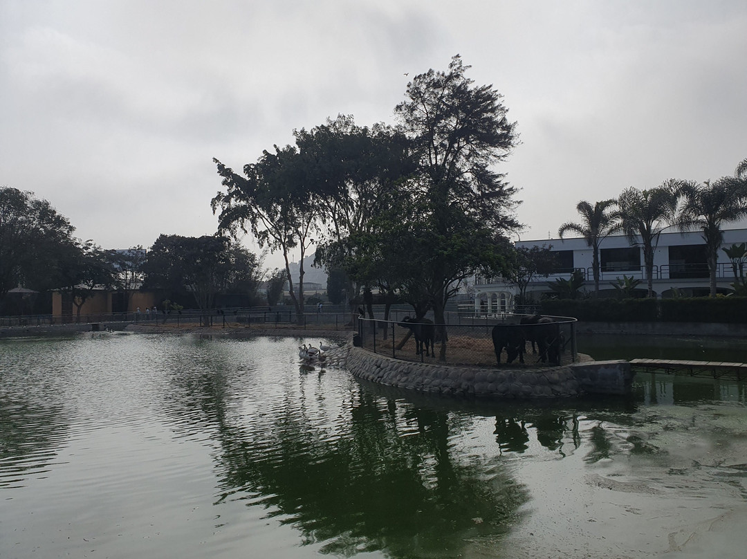 Parque Zoologico Huachipa-利马必去景点