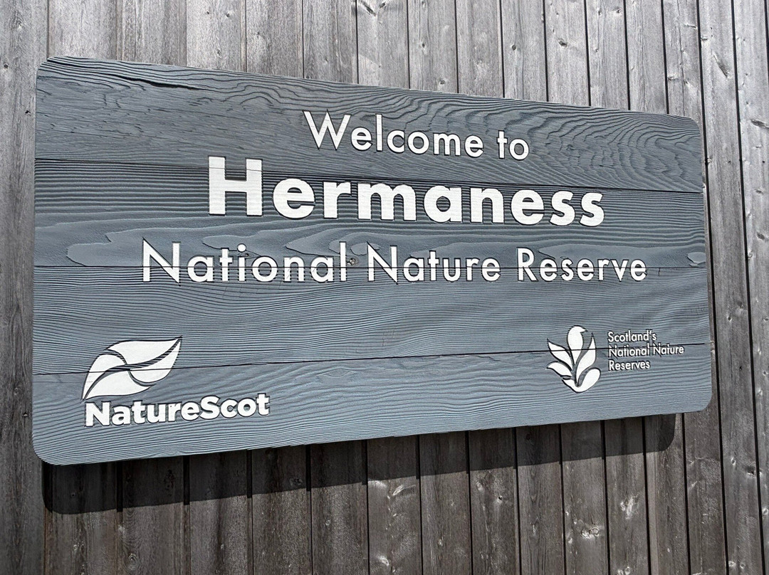Hermaness National Nature Reserve-Unst必去景点
