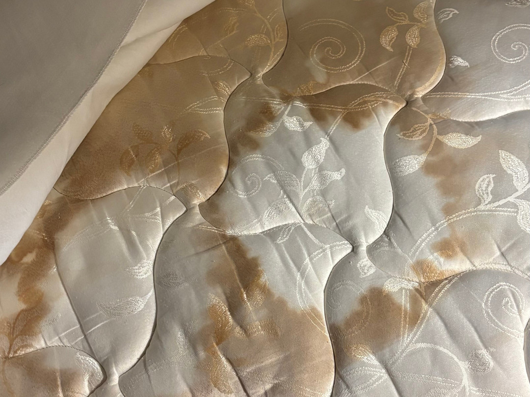 Wingate by Wyndham Uniontown主图