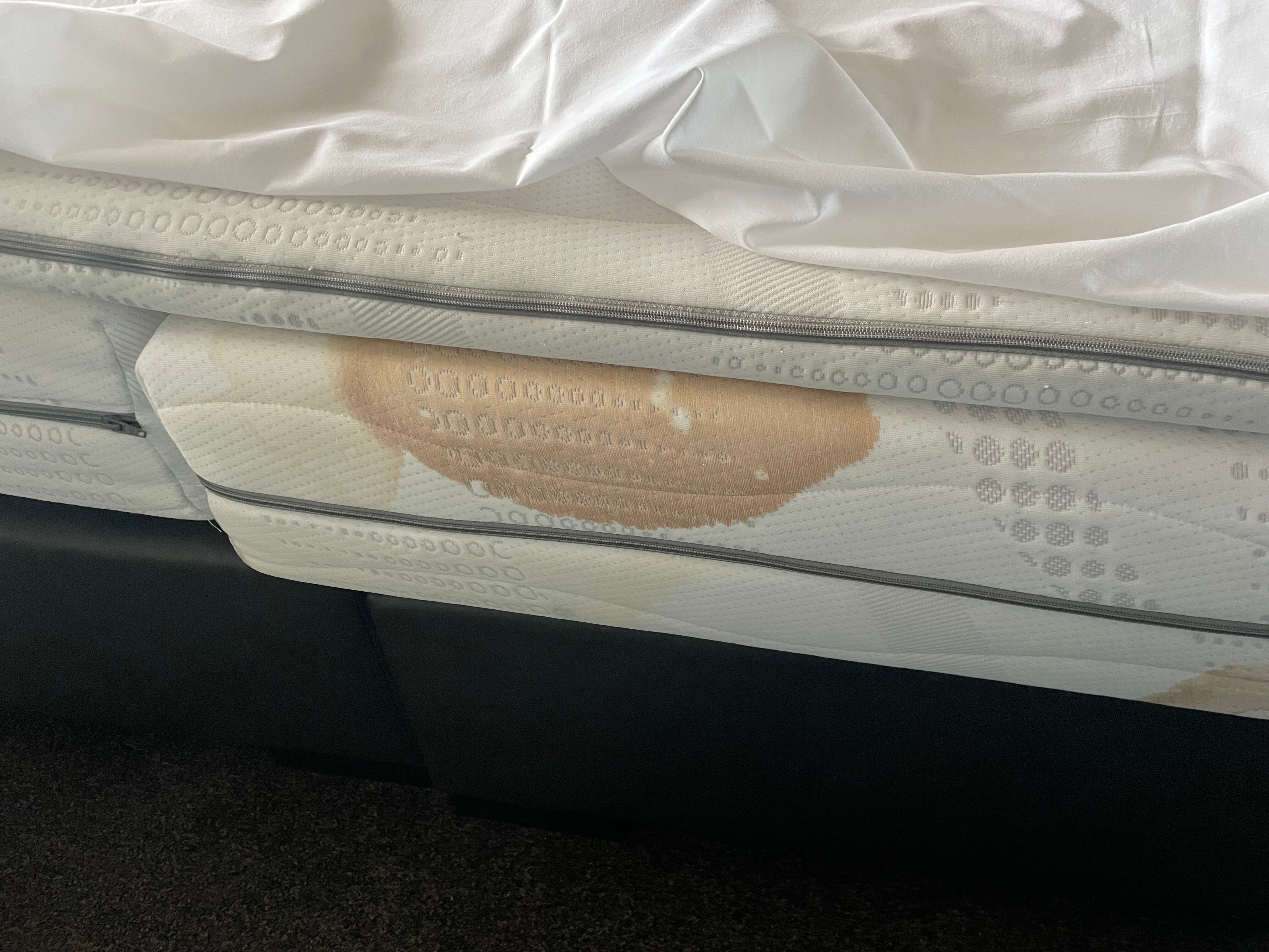 阿德吉奥阿姆斯特丹城南公寓酒店-客卧