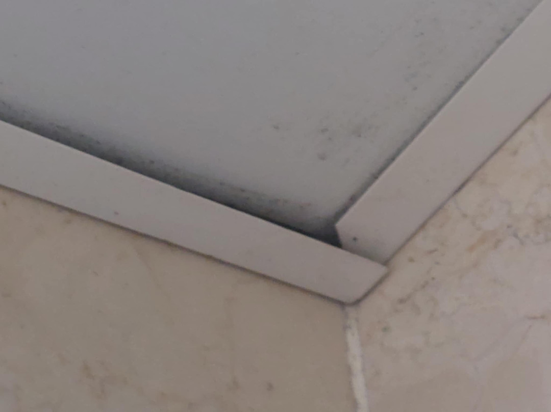 BlueBay Villas Doradas主图