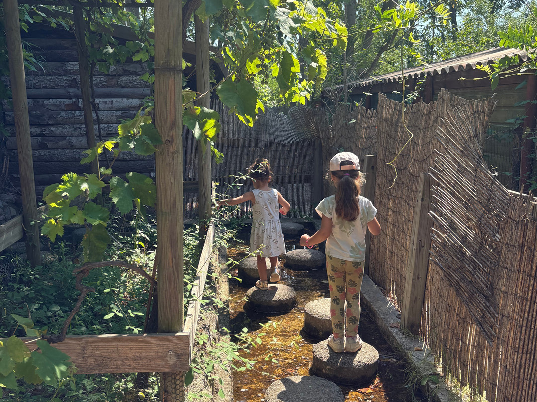 Ferme de Decouverte Saint-Andre-Saint-Andre必去景点