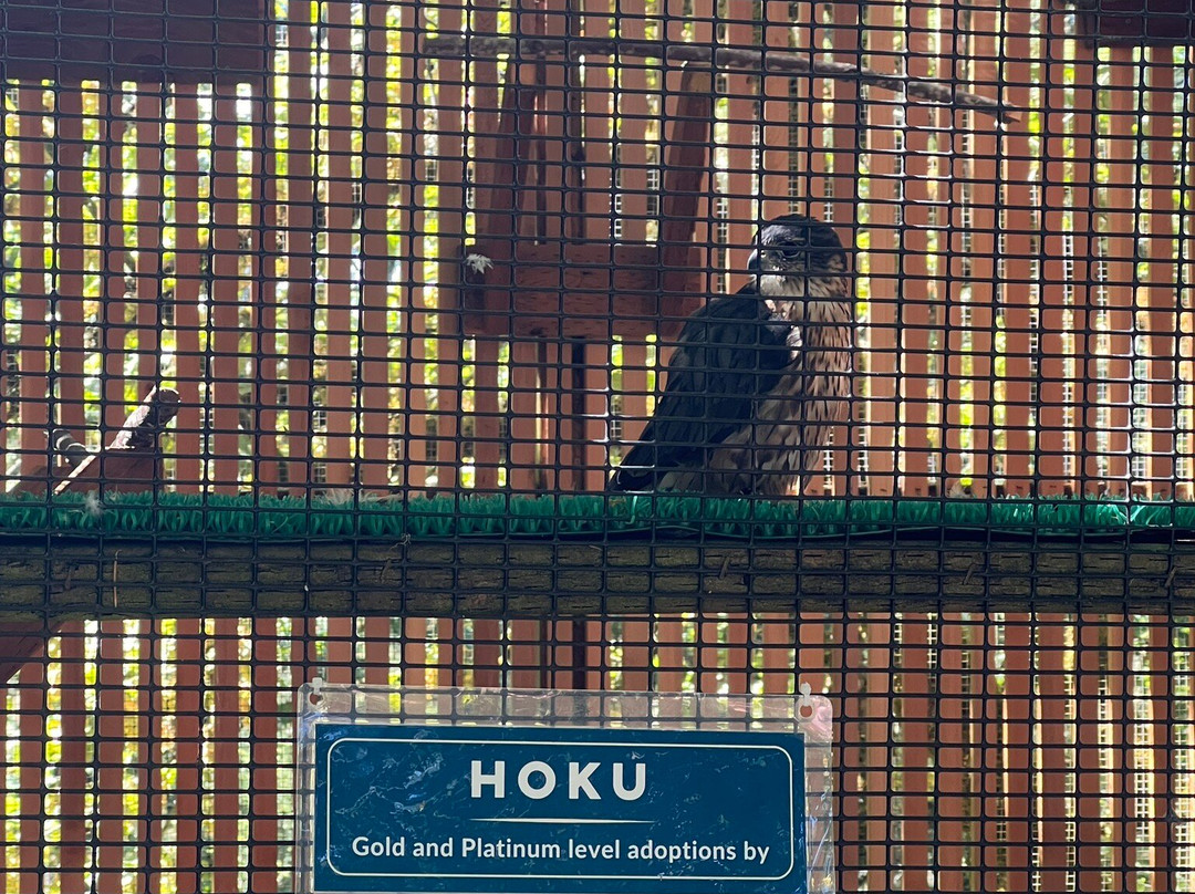 卡斯卡底猛禽中心-尤金必去景点