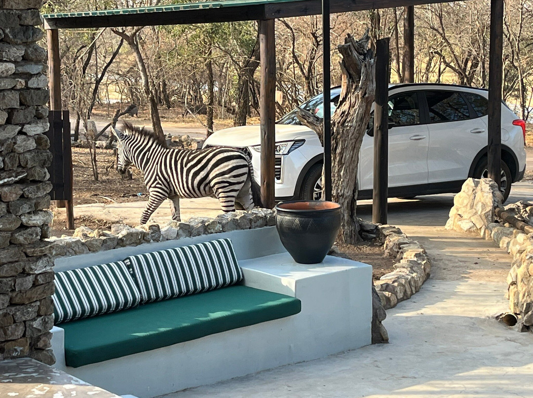 Foxy Crocodile Bush Lodge & Kruger Safaris主图