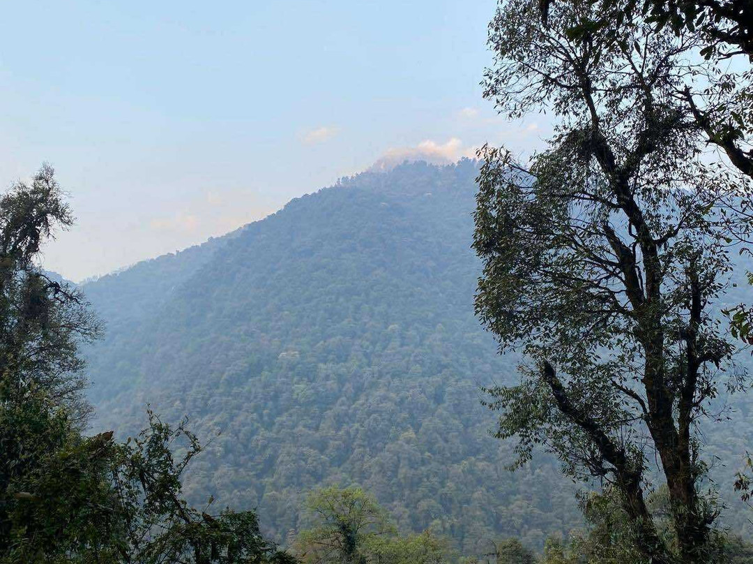 Limboo Tours & Travels-Yuksom必去景点