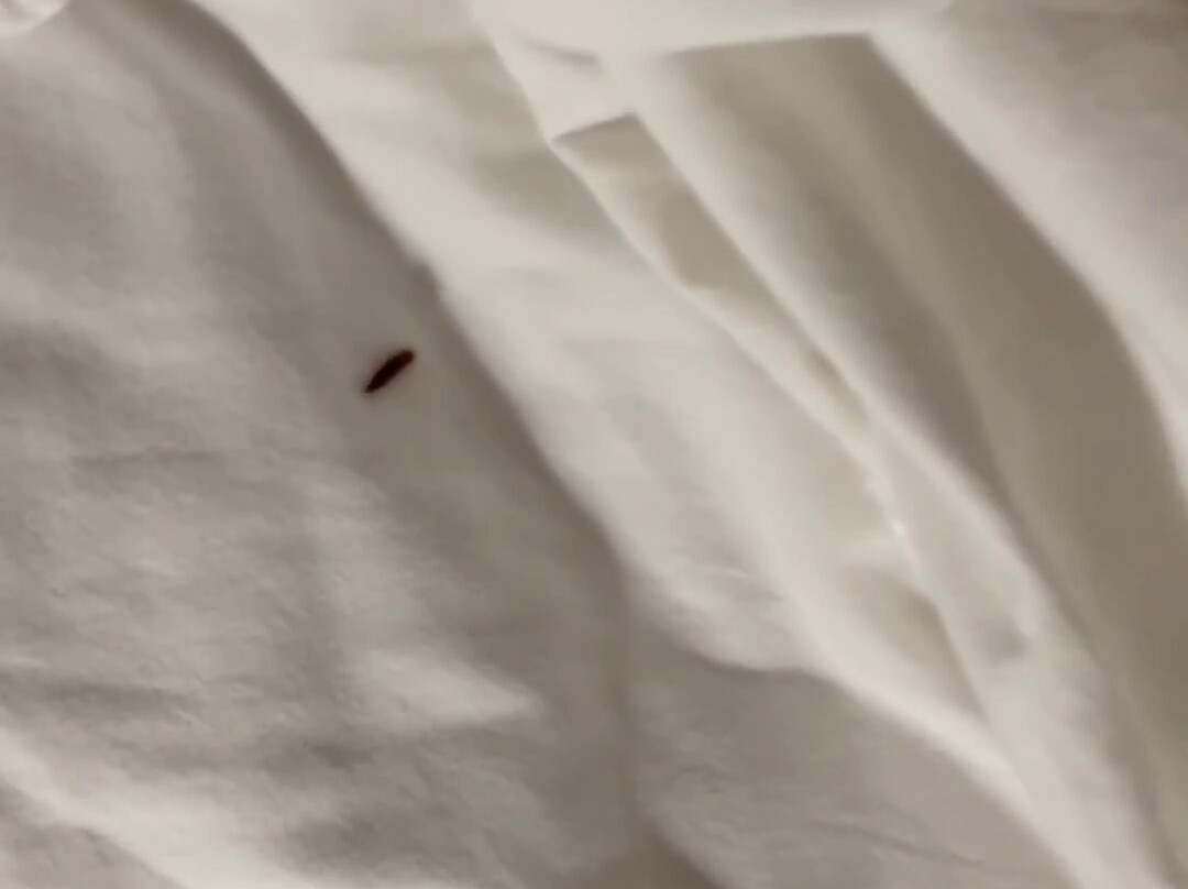 Hampton Inn Rutland主图