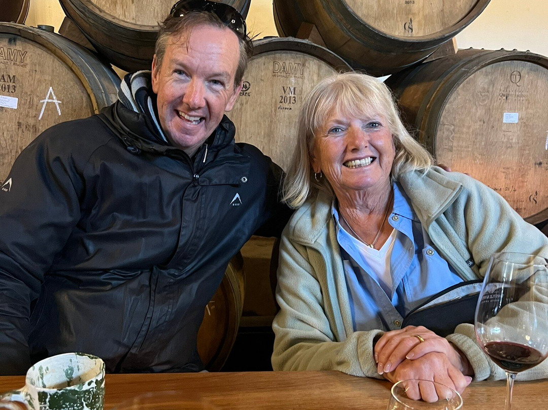 Take 2 Tours - Private Day Tours-开普敦中心区必去景点