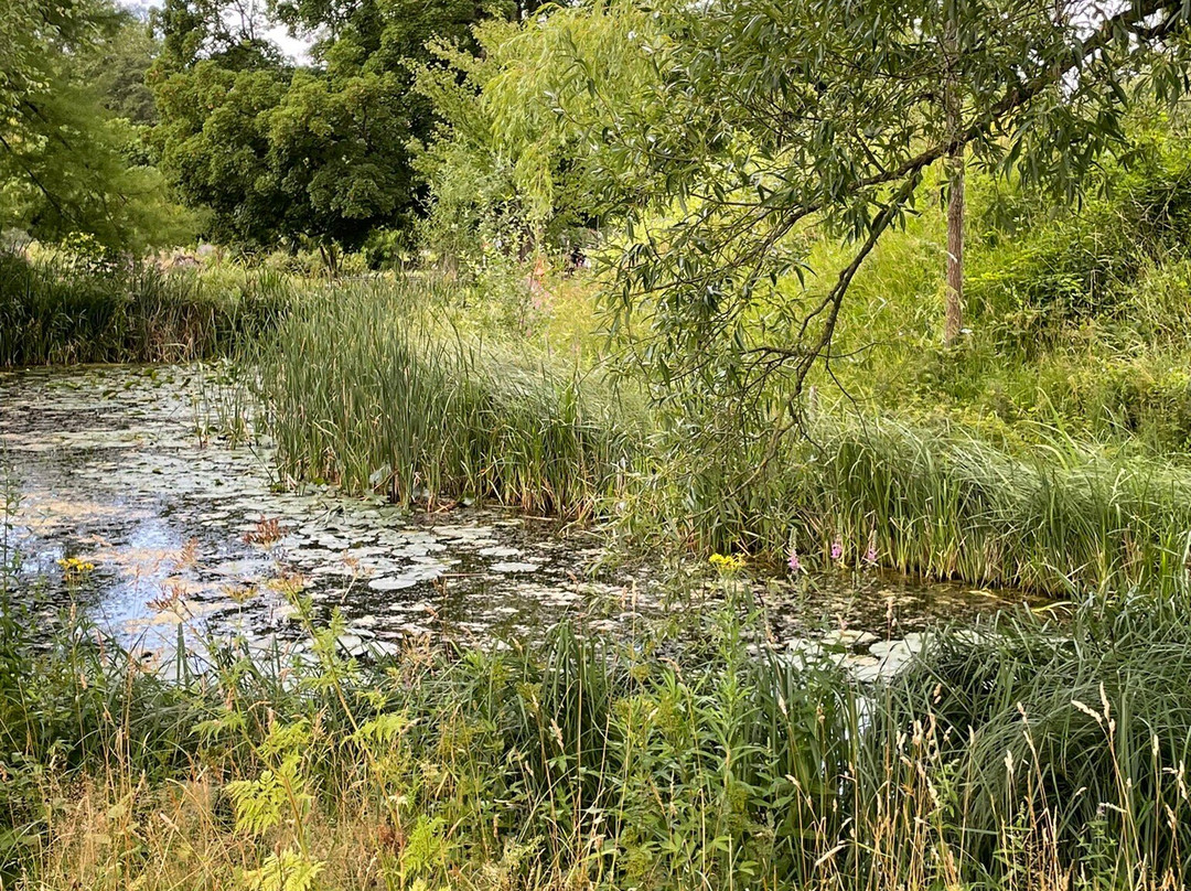 Botanical Gardens (Botaniska Tradgarden)-隆德必去景点