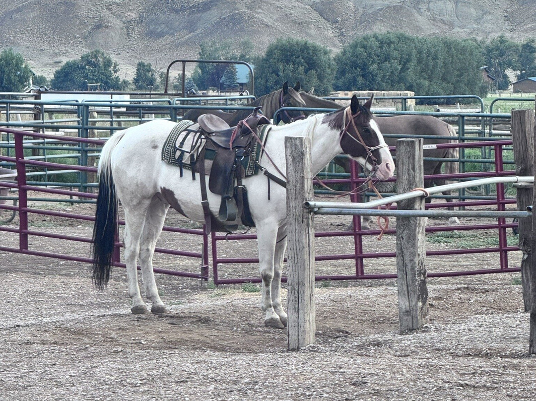 Rand Creek Ranch-Wapiti必去景点