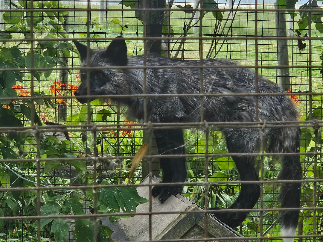 Bervie Zoological Park-Kincardine必去景点