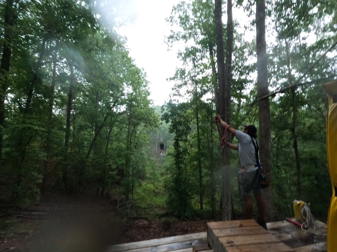 Upstate Zipline