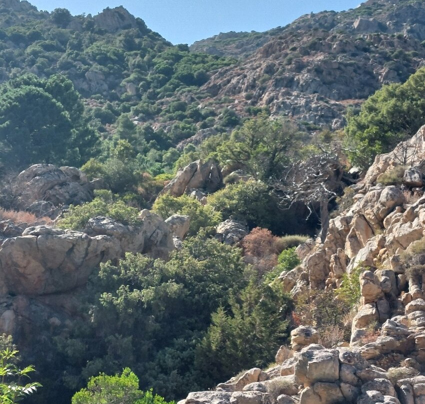 Sardinia Exploring-San Teodoro必去景点