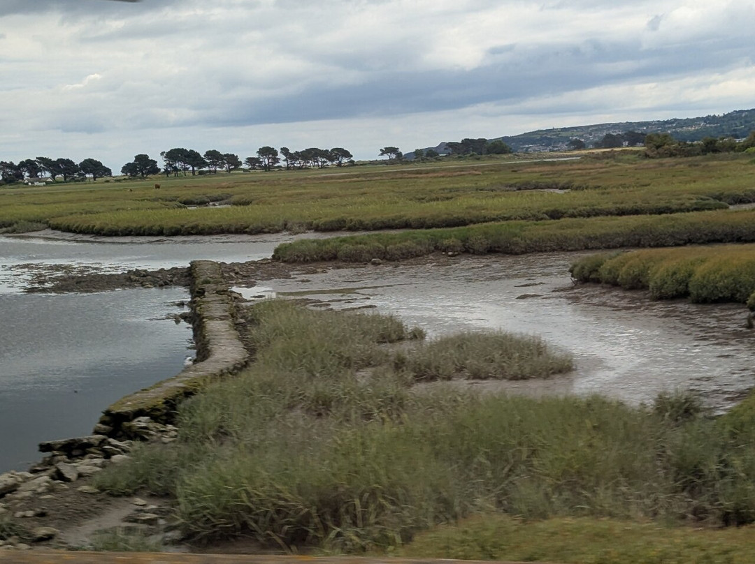 Finnegan Bray-都柏林必去景点