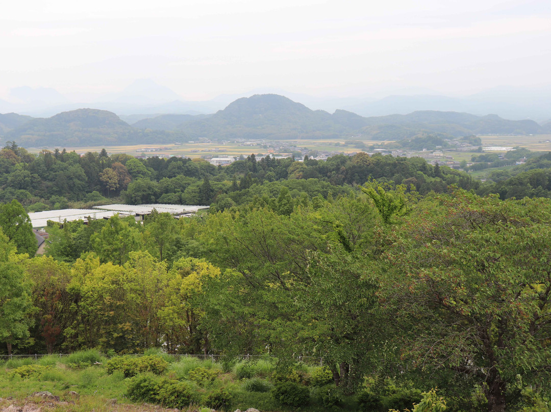Ajimu Budoushu Koubou-宇佐市必去景点