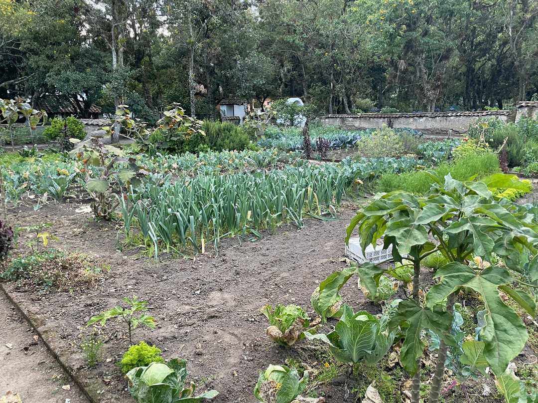 Hacienda Cusin主图