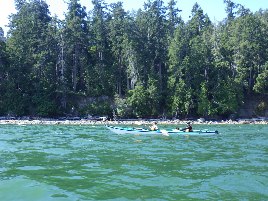 Island Römer Adventures-纳奈莫必去景点
