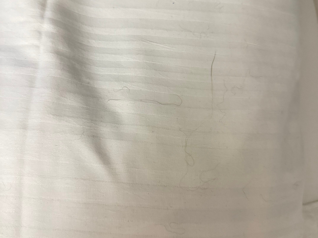 埃菲尔斯腾酒店主图