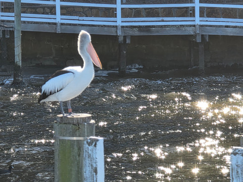 Lonsdale Eco Cruises-莱克斯恩特伦斯必去景点