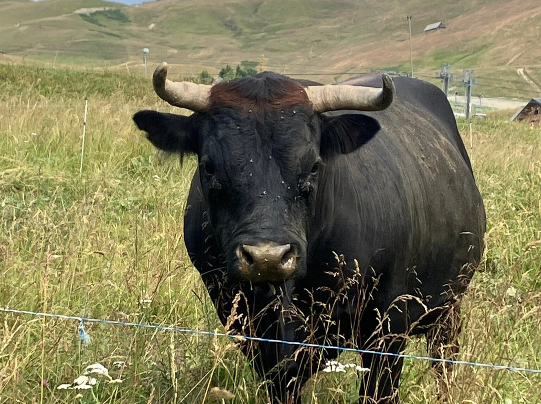 La Toussuire - Les Sybelles-Fontcouverte-la-Toussuire必去景点