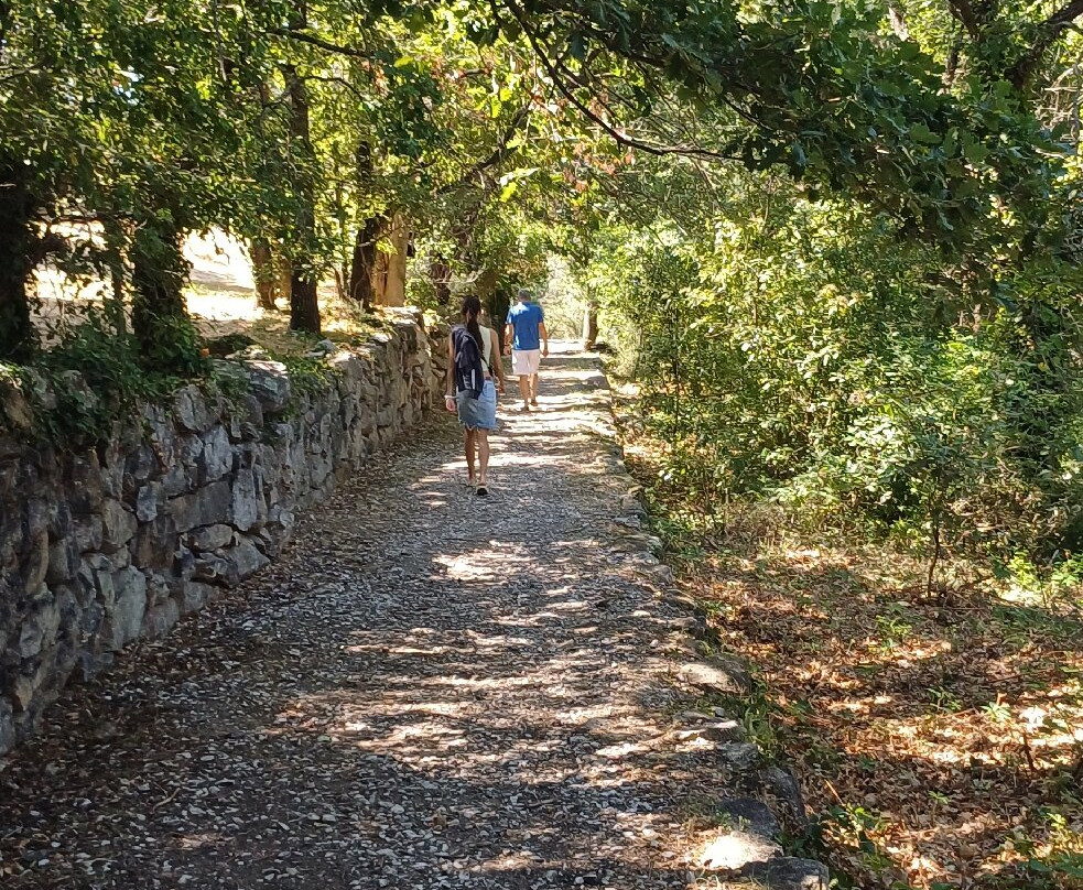 Le Grand Hôtel主图