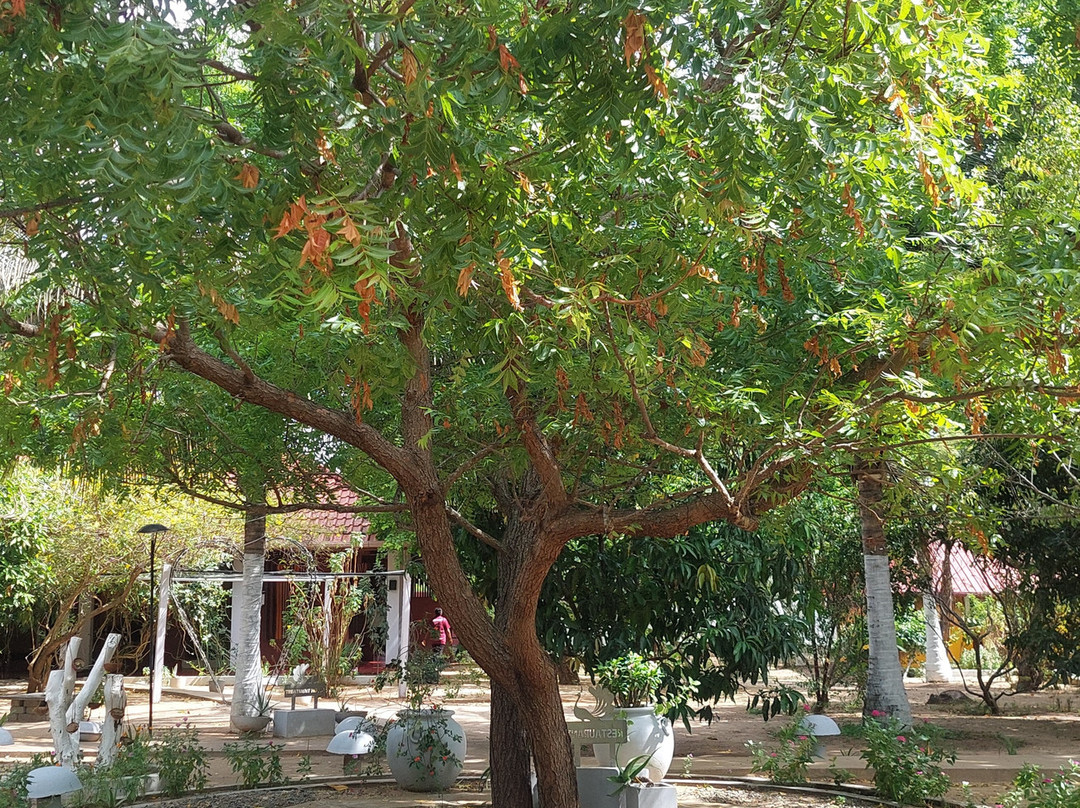 Nilaveli Ayurveda Gesundheitszentrum主图