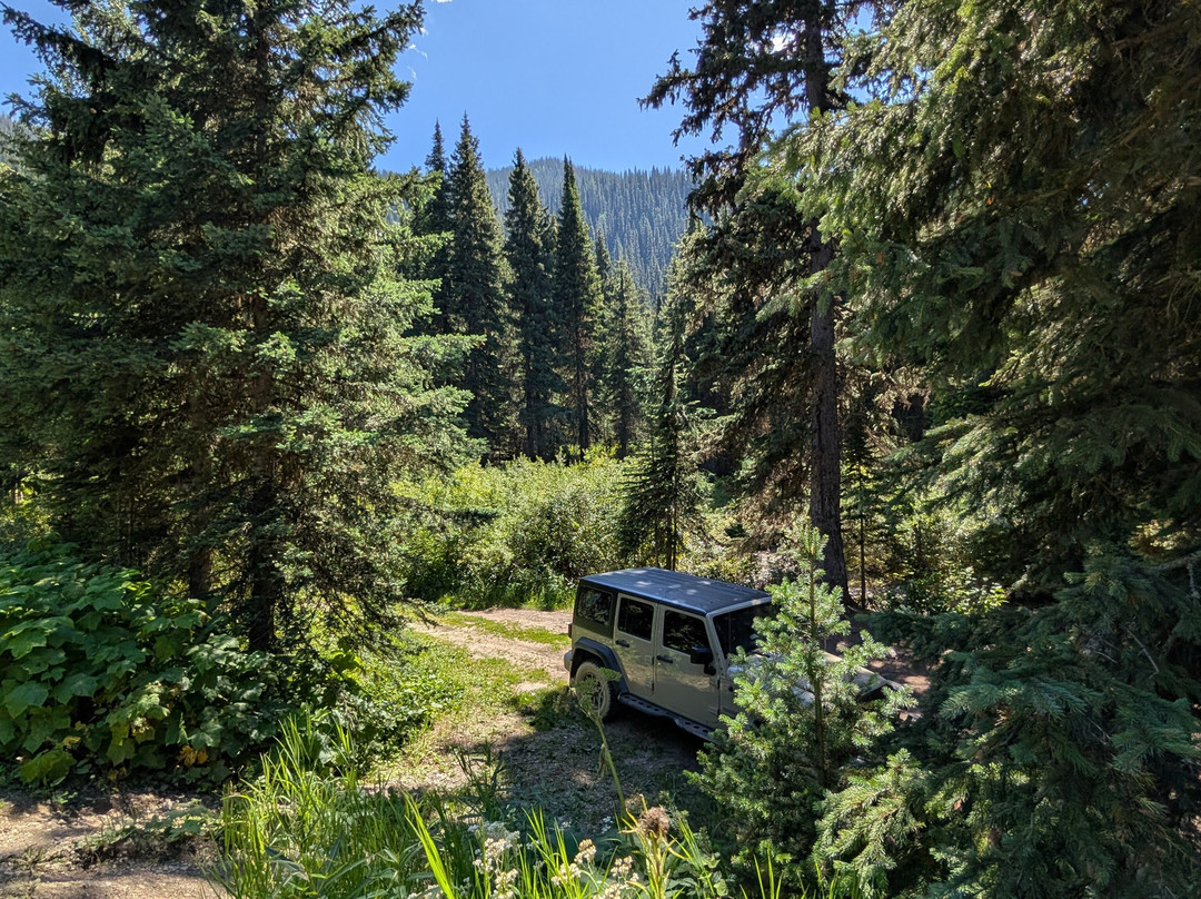 Glacier Jeep Rentals-Columbia Falls必去景点