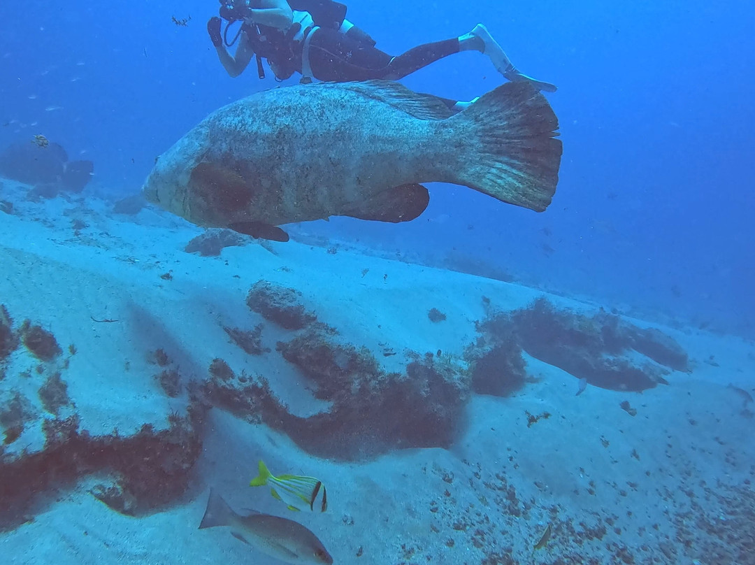 Jupiter Dive Center-朱庇特必去景点