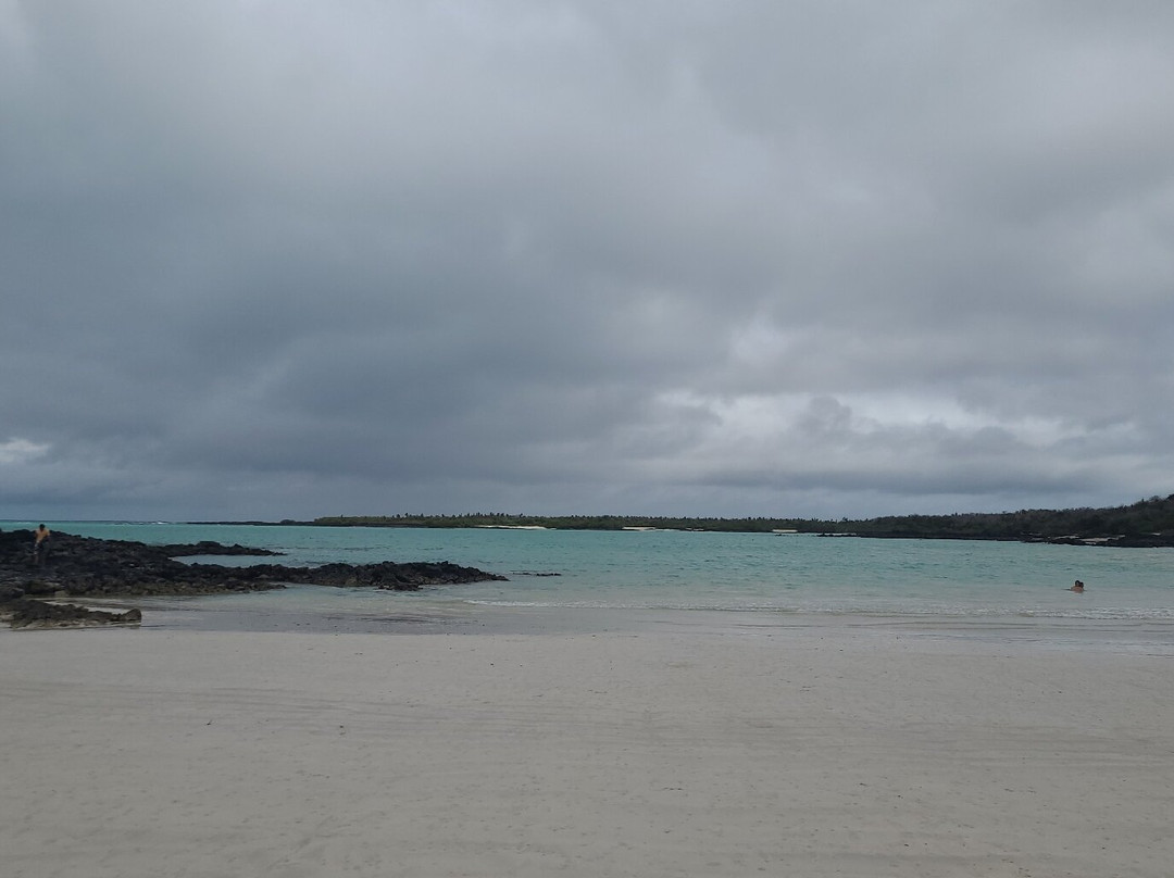 El Garrapatero-阿约拉港必去景点