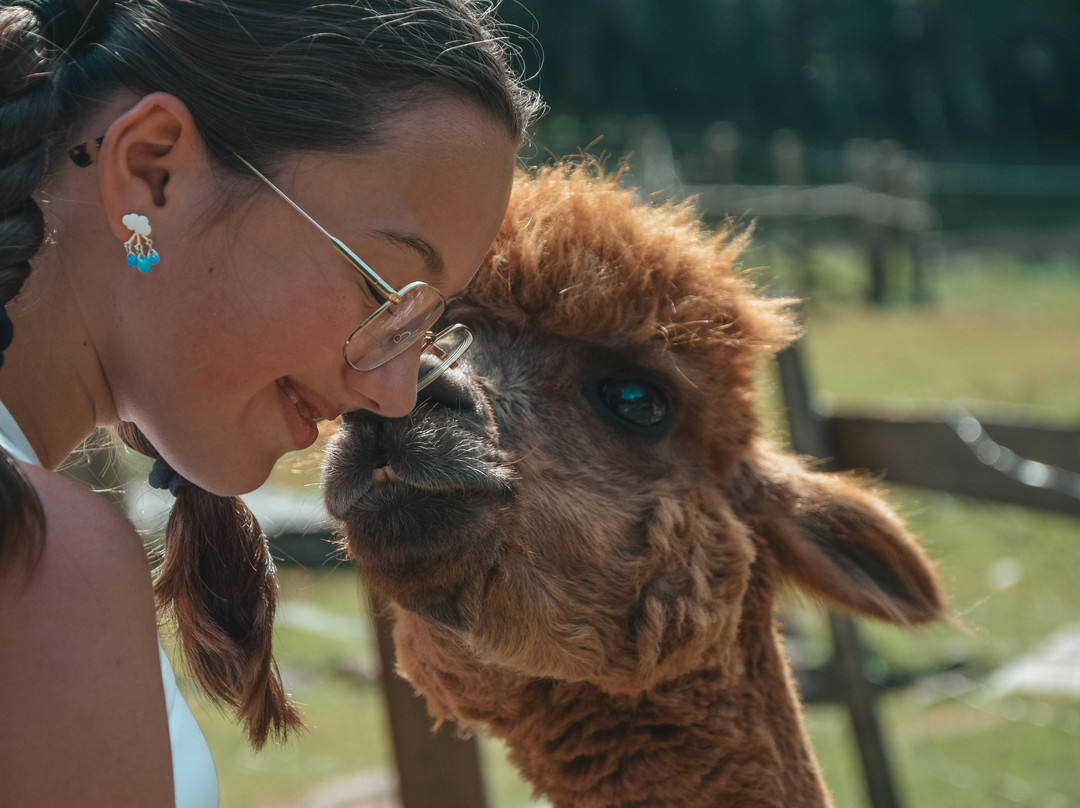Ferme Jean Des Houx-Sapois必去景点