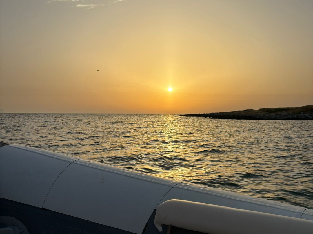 Chelonia - Watersports-Isola Delle Femmine必去景点
