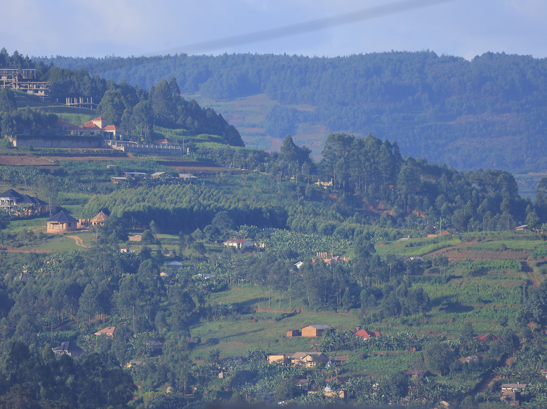 Taffie Safaris-坎帕拉必去景点