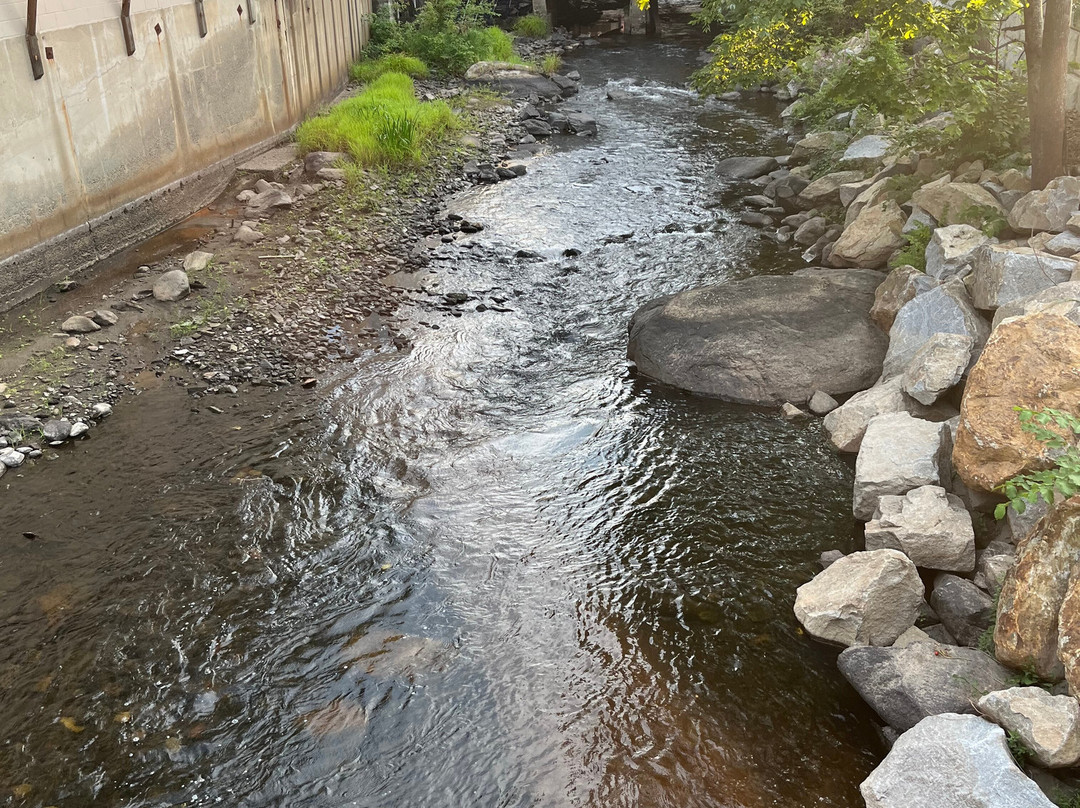 Camden Riverhouse Hotel and Inns主图